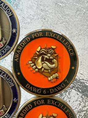 Vintage US Army D Co 122nd Signal Battalion Bulldog Dawg Pound Challenge Coin
